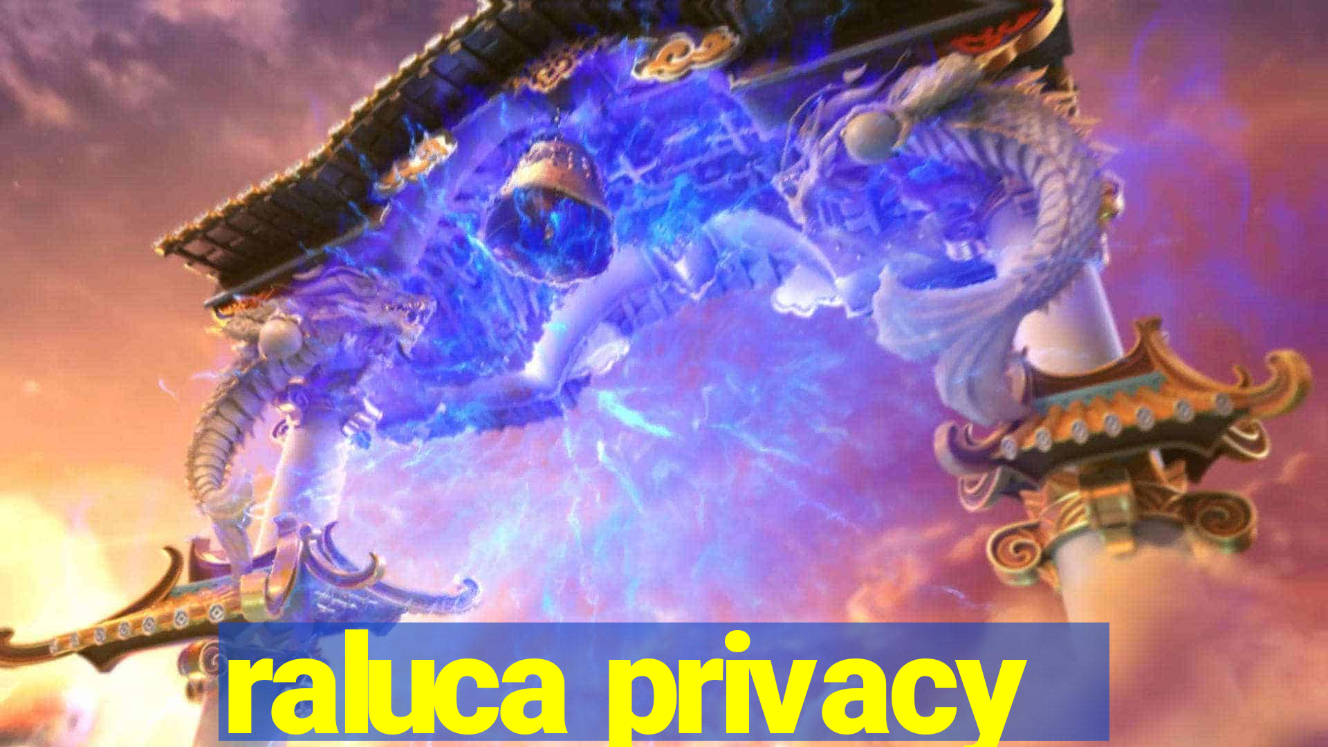 raluca privacy