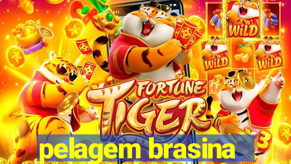 pelagem brasina