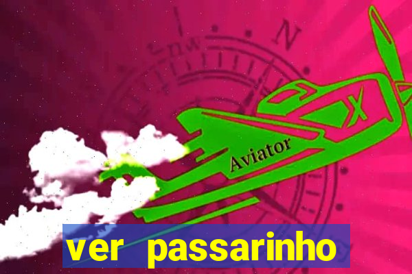 ver passarinho morto significado espiritual