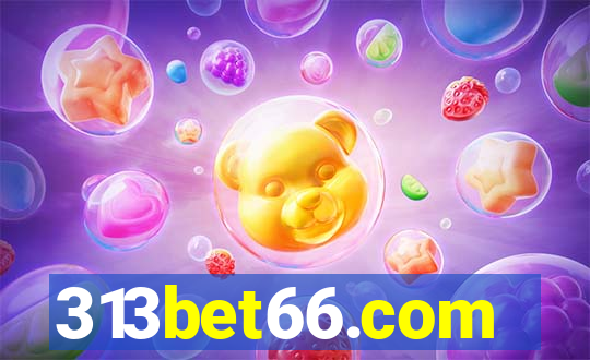 313bet66.com