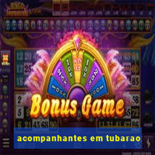 acompanhantes em tubarao