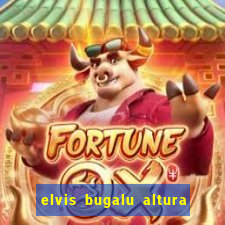 elvis bugalu altura e peso